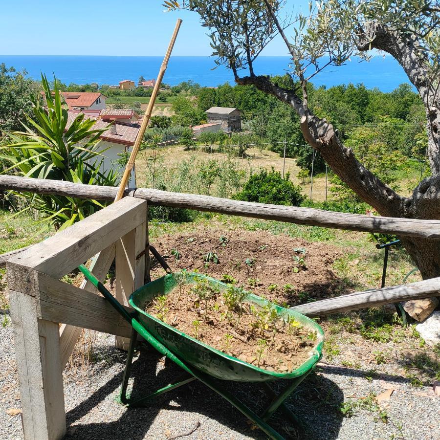 Agriturismo Agri Armonia San Lucido Eksteriør billede