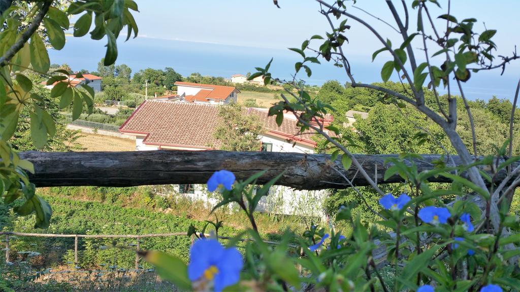 Agriturismo Agri Armonia San Lucido Eksteriør billede