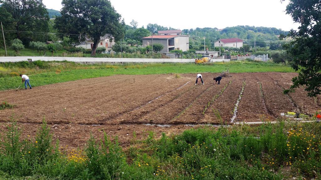 Agriturismo Agri Armonia San Lucido Eksteriør billede